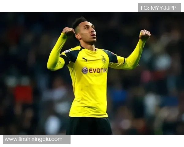 球星对足球的态度探讨:激情与责任并存的职业精神与人生价值